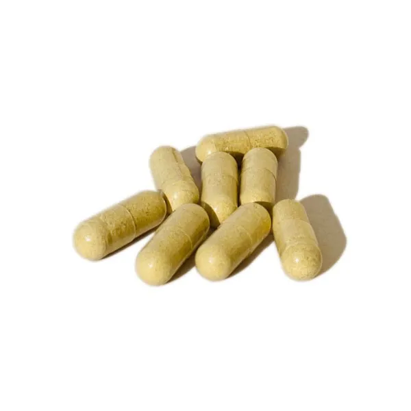 Viên uống bổ não Santerra Ginkgo Complexe