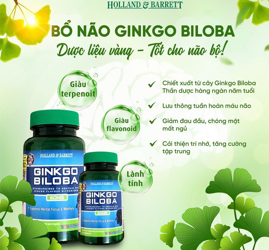 Viên uống bổ não Ginkgo Biloba Holland & Barrett